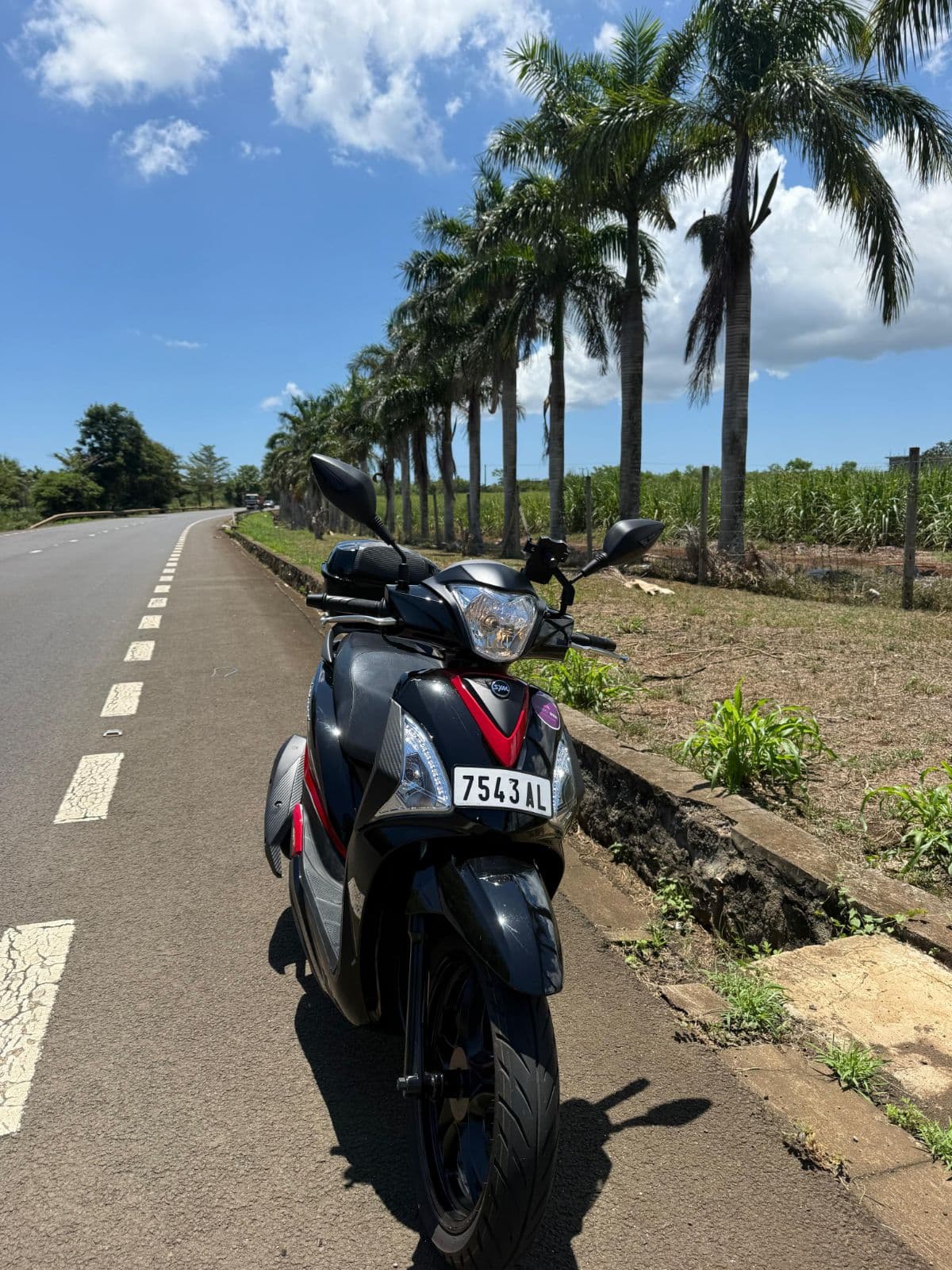 Dodo Ride scooter in Mauritius (photo 35)